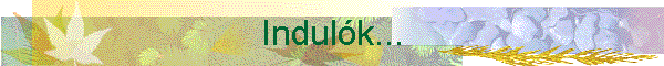 Indulk...