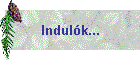 Indulók...