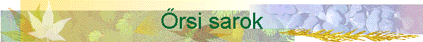 Őrsi sarok