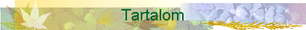 Tartalom