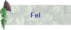 Fel