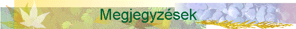 Megjegyzsek