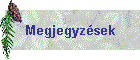 Megjegyzsek